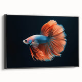 Framed canvas wall art displaying a vibrant marine life fish design, showcasing various colorful fish against a black background, perfect for ocean-themed decor.