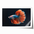 Vibrant marine life wall art collection showcasing diverse fish species in vivid colors, ideal for ocean-themed decor, presented as a rolled print.