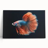 Vibrant marine life wall art collection featuring colorful fish designs on stretched canvas, ideal for ocean-themed decor, enhancing any living space.