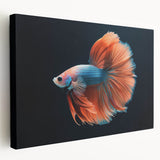 Colorful marine life fish design on a stretched canvas wall art piece, showcasing various fish species in vibrant hues, perfect for ocean-themed decor.