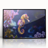 Framed wall art showcasing a vibrant marine life fish design in acrylic, featuring a sleek black frame, perfect for aquatic-themed decor in contemporary settings.