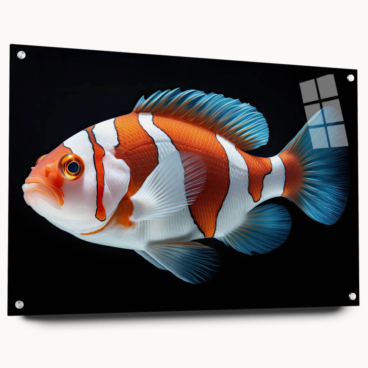 Side view of a marine life-themed wall art collection featuring vibrant fish designs printed on acrylic glass, elegantly mounted with decorative pins, ideal for ocean-inspired decor.