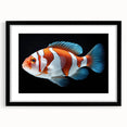 Stylish black-framed wall art featuring a vibrant marine life fish design, showcasing colorful aquatic species against a white background, perfect for ocean-themed decor.