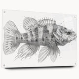 Side view of a marine life fish design wall art collection, showcasing vibrant colors and intricate details on acrylic glass, elegantly held with decorative pins.