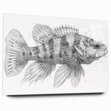 Colorful marine life wall art featuring a vibrant fish design printed on acrylic glass, showcasing intricate details and a modern aesthetic perfect for ocean-themed decor.