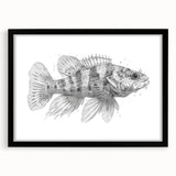 Black-framed wall art featuring a vibrant marine life fish design, showcasing colorful ocean fish and coral accents, ideal for home or office decor.