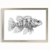 Framed marine life wall art collection showcasing colorful fish designs with a sleek silver frame and matting, perfect for ocean-themed decor.
