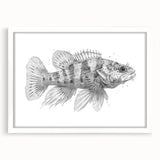 Framed wall art featuring a vibrant marine life fish design, showcasing colorful ocean creatures on a white mat, ideal for enhancing coastal decor.