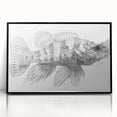 Framed wall art collection showcasing vibrant marine life fish design, featuring a sleek black frame and acrylic finish, perfect for ocean-themed decor.