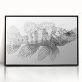 Framed wall art collection showcasing vibrant marine life fish design, featuring a sleek black frame and acrylic finish, perfect for ocean-themed decor.