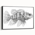 Framed canvas wall art showcasing a vibrant marine life fish design in a sleek black frame, perfect for ocean-themed decor. Ideal for enhancing living spaces with a touch of aquatic beauty.