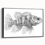 Framed canvas wall art showcasing a vibrant marine life fish design in a sleek black frame, perfect for ocean-themed decor. Ideal for enhancing living spaces with a touch of aquatic beauty.