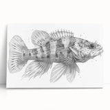 Stretched canvas wall art featuring a vibrant marine life design with colorful fish swimming among coral, perfect for enhancing coastal decor and ocean-themed spaces.