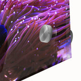 Close-up of a vibrant marine life wall art collection featuring colorful fish designs printed on acrylic glass, showcasing intricate details and vivid colors. Perfect for ocean-themed decor.