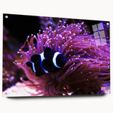 Acrylic glass wall art collection showcasing a vibrant marine life fish design, side view with visible pins, perfect for ocean-themed decor in contemporary spaces.