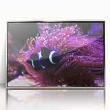 Framed acrylic wall art featuring a vibrant marine life fish design in silver, showcasing colorful aquatic species against a sleek modern backdrop, ideal for ocean lovers.