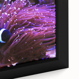 Vibrant close-up of a framed canvas wall art featuring a marine life fish design, showcasing intricate details and vivid colors, perfect for ocean-themed decor.