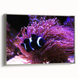 Framed canvas wall art showcasing a vibrant marine life fish design with silver accents, perfect for enhancing coastal-themed decor in living spaces.