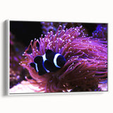 Framed canvas wall art showcasing a colorful marine life fish design, displayed from the side with a sleek white frame, perfect for ocean-themed decor.