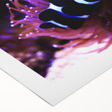 Colorful rolled canvas wall art showcasing a vibrant marine life fish design, ideal for ocean-themed decor, featuring intricate details and textures.