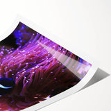 Vibrant marine life wall art print showcasing various colorful fish designs, rolled and ready for display, perfect for ocean-themed decor enthusiasts.