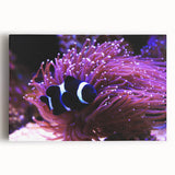 Vibrant marine life fish design on stretched canvas wall art, showcasing colorful underwater scenes with intricate details, perfect for ocean-themed decor.
