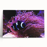 Vibrant marine life wall art featuring colorful fish designs on stretched canvas, ideal for ocean-themed decor, enhancing any living space with a coastal vibe.