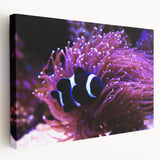 Stretched canvas wall art showcasing a vibrant marine life fish design in vivid colors, perfect for ocean-themed decor. Ideal for enhancing living spaces.
