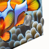 Close-up of a vibrant marine life wall art design featuring various colorful fish, printed on acrylic glass, perfect for ocean-themed home decor.