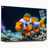 Vibrant wall art design showcasing colorful marine life and fish, displayed in a sleek acrylic frame with decorative pins, perfect for ocean-themed decor.