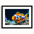 Framed wall art collection featuring a vibrant marine life fish design, with a sleek black frame and mat, perfect for ocean-themed decor in homes or offices.
