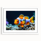 Framed wall art collection showcasing a vibrant marine life fish design with a white mat, perfect for enhancing coastal-themed decor in homes or offices.