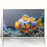 Framed acrylic wall art featuring a vibrant marine life fish design, showcasing colorful aquatic species and a sleek white frame, perfect for ocean-themed decor.