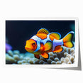 Vibrant marine life wall art featuring colorful fish illustrations on a rolled print, perfect for adding a touch of oceanic beauty to any decor.