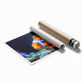 Vibrant marine life wall art print showcasing colorful fish designs against a deep blue background, rolled and ready for framing or display. Perfect for ocean-themed decor.