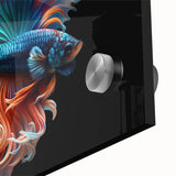 Close-up of vibrant marine life wall art featuring various colorful fish designs on acrylic glass, ideal for ocean-themed decor and enhancing any space.