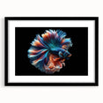 Framed wall art featuring a vibrant marine life fish design, showcasing colorful fish against a black mat background, perfect for ocean-themed decor.