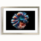 Framed wall art featuring a vibrant marine life fish design in silver frame, showcasing colorful aquatic creatures against a white background, ideal for ocean-themed decor.