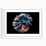 Framed marine life wall art showcasing colorful fish designs, set against a white matting, perfect for ocean-themed decor in modern interiors.