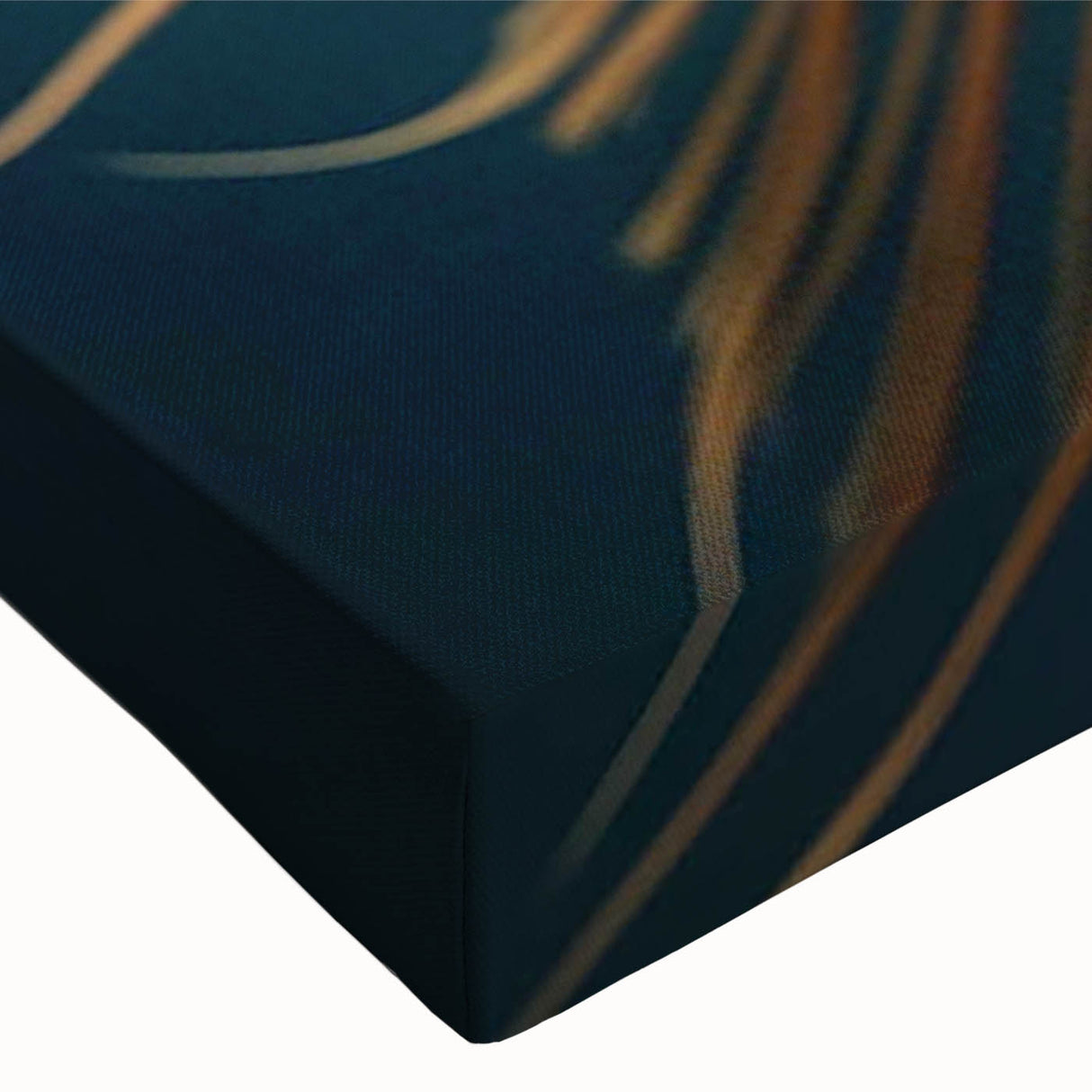 Vibrant close-up of stretched canvas wall art showcasing a marine life fish design, featuring intricate details and vivid colors, perfect for ocean-themed decor.