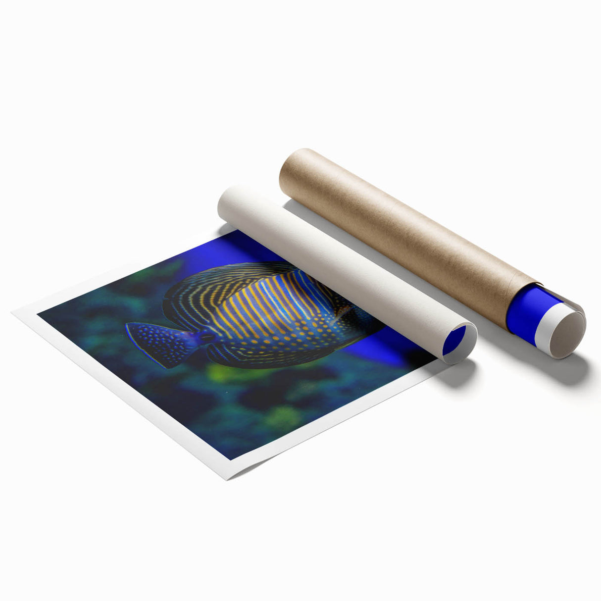 Vibrant rolled print showcasing a marine life fish design in a colorful underwater scene, perfect for ocean-themed decor; packaged securely in a protective tube.