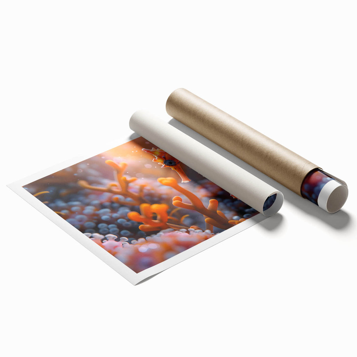 Vibrant marine life wall art print showcasing colorful fish designs on a textured surface, ideal for ocean-themed decor. Packaged in a protective cardboard tube for easy display and storage.