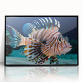 Framed wall art showcasing a vibrant marine life fish design in an elegant black frame, perfect for ocean-themed decor or aquatic enthusiasts. The acrylic front highlights the intricate details and colors of the fish, creating a stunning focal point for any room.