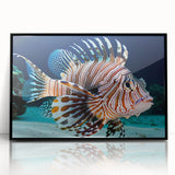 Framed wall art showcasing a vibrant marine life fish design in an elegant black frame, perfect for ocean-themed decor or aquatic enthusiasts. The acrylic front highlights the intricate details and colors of the fish, creating a stunning focal point for any room.