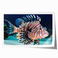 Colorful marine life wall art print featuring various fish species, showcasing vibrant designs on a rolled canvas, ideal for coastal home decor. Perfect for adding a touch of the ocean to any space.