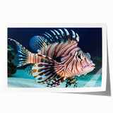 Colorful marine life wall art print featuring various fish species, showcasing vibrant designs on a rolled canvas, ideal for coastal home decor. Perfect for adding a touch of the ocean to any space.