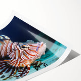 Colorful marine life illustration featuring various fish species, artistically designed for wall decor, rolled for easy transport and display. Perfect for ocean-themed interiors.