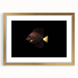 Framed wall art featuring a vibrant marine life fish design, adorned with a gold frame and mat, showcasing a colorful underwater scene perfect for home decor.