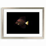 Framed wall art showcasing a vibrant marine life fish design in silver, featuring intricate details and a white mat, perfect for ocean-themed decor.