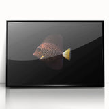 Framed acrylic wall art featuring a vibrant marine life fish design with a black border, ideal for ocean-themed decor, enhancing any room's ambiance.
